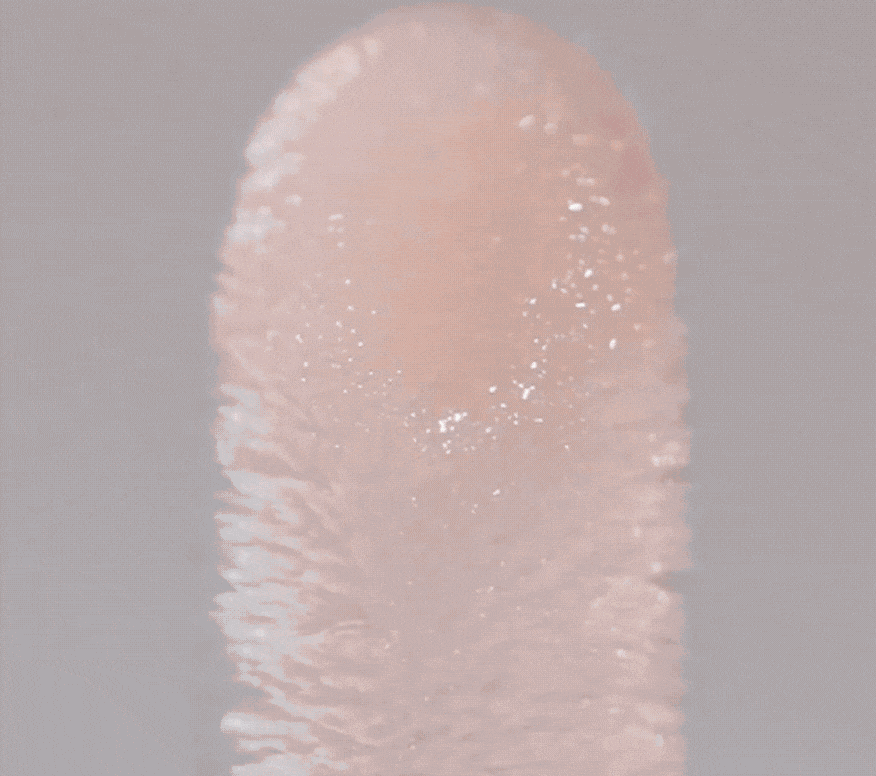Lip Conditioner Trio