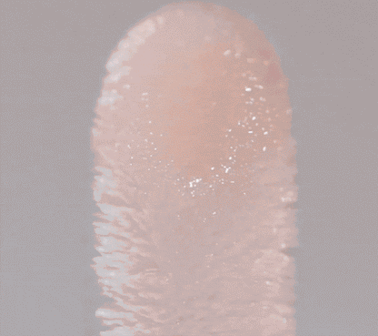 Lip Conditioner Trio